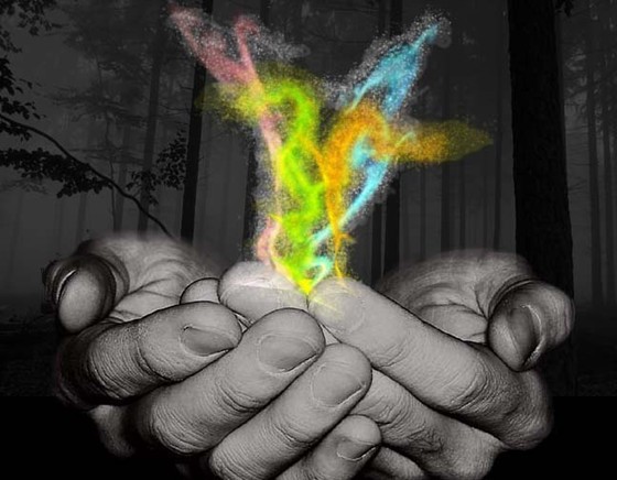 Graphic Design: Photoshop