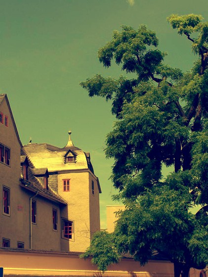 Photography: Landscape/Architecture